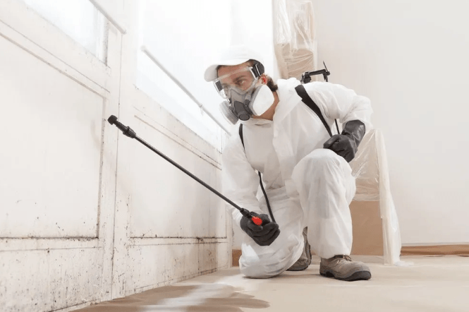 Basement Waterproofing: Expert Strategies to Prevent Leaks and Mold