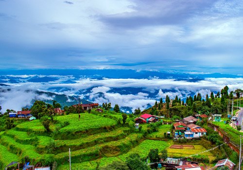 Buz Business: Everything You Need to Know About Growth and Travel in West Bengal
