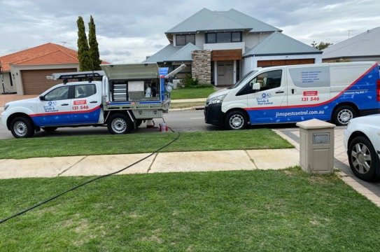 The Smart Way to Handle Pest Problems in Western Australia 