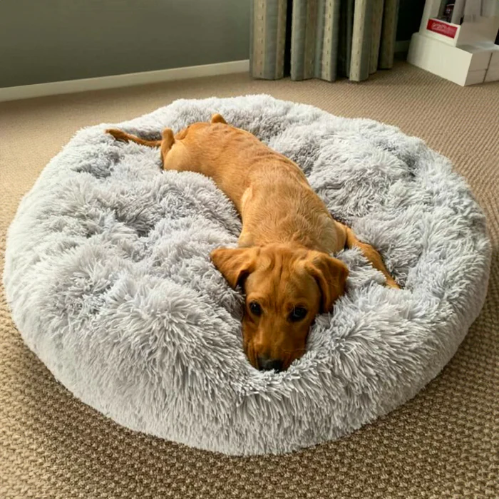 Give Your Pet the Comfort They Deserve with a Cosy Calming Dog Bed from The Brooklyn