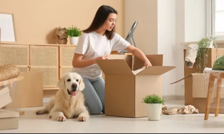 6 Pieces Of Information That Should Follow A Pet During An Urgent Transfer